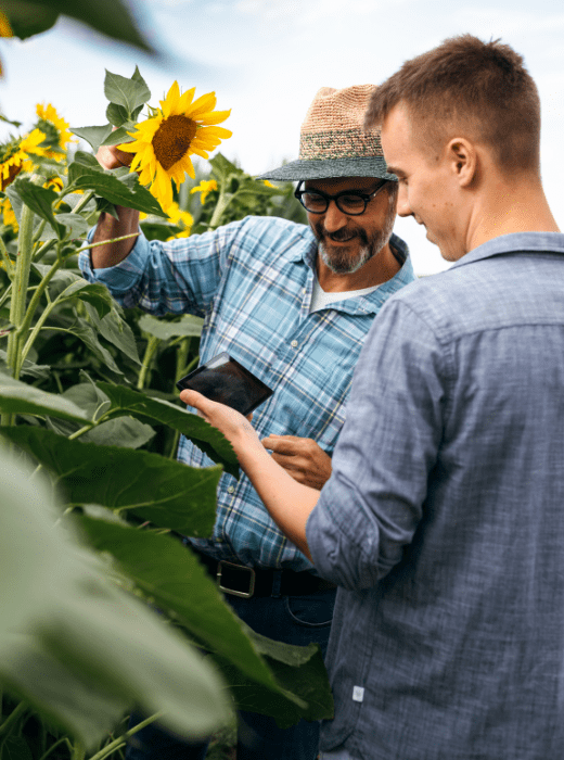 Sosteniamo il tuo impegno ogni giorno