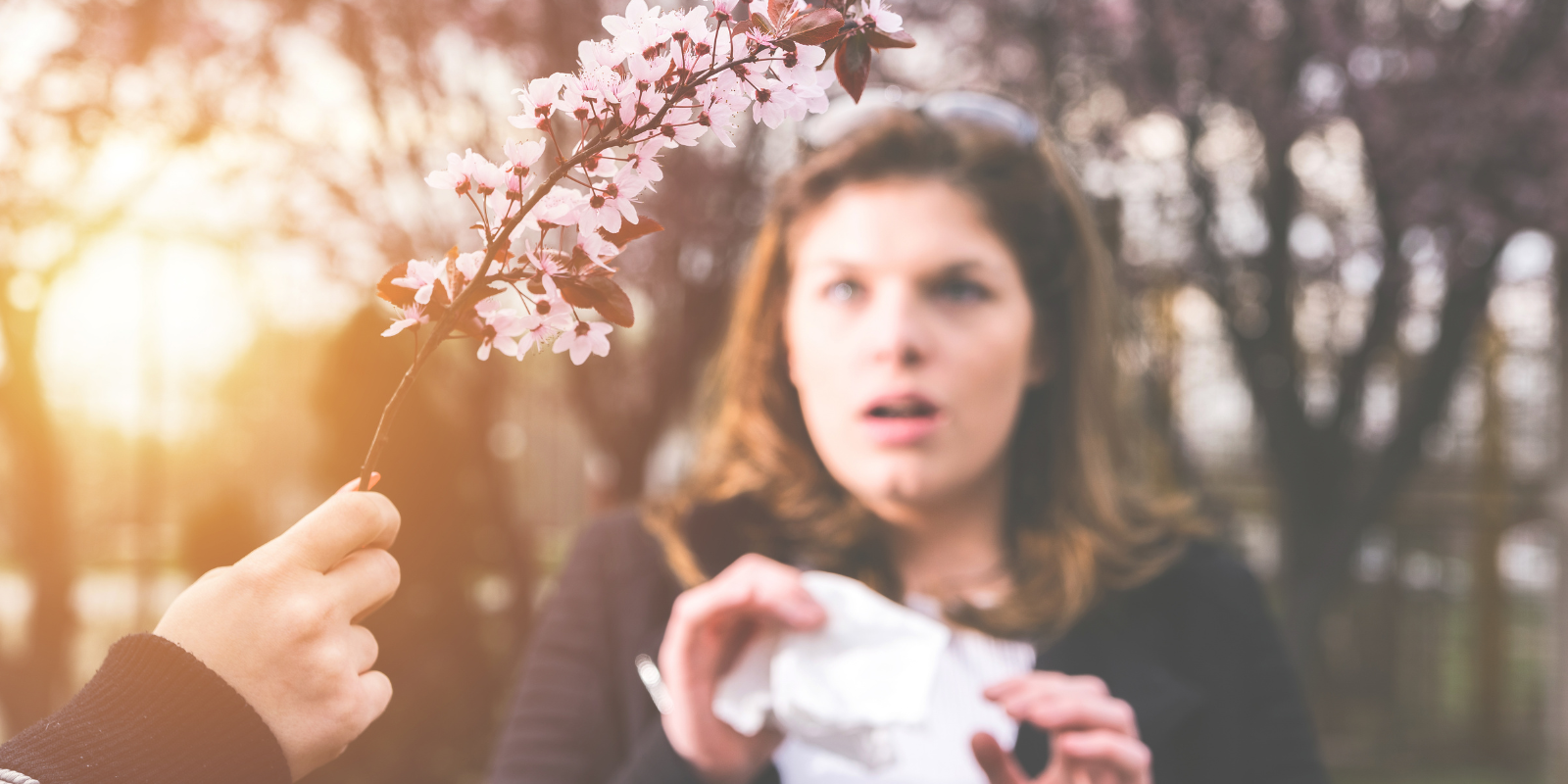 Allergie-e-primaveraa Home