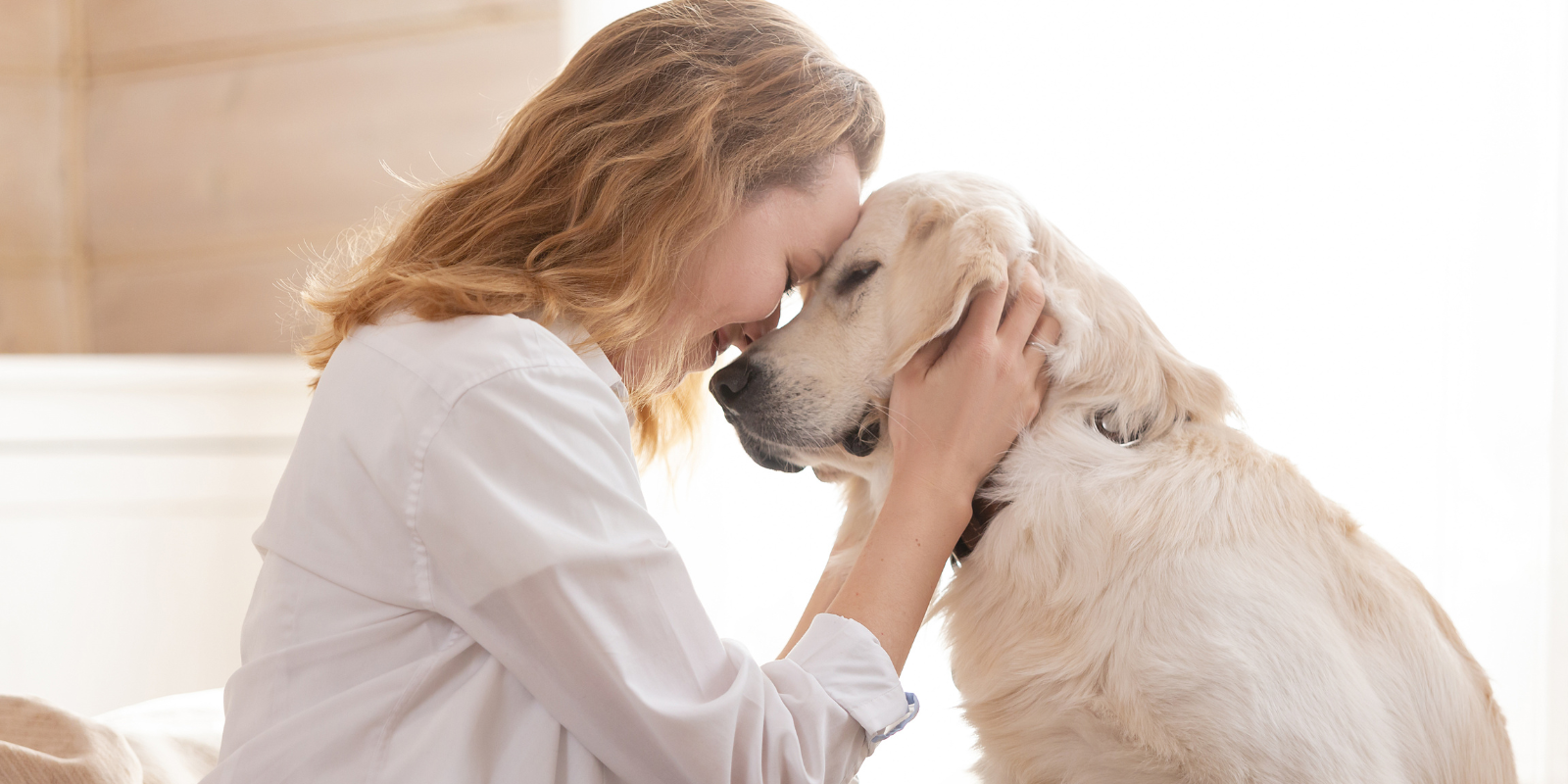 Responsabilità civile animali domestici